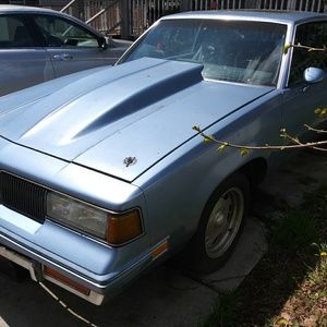 Meet your Posher, Louie